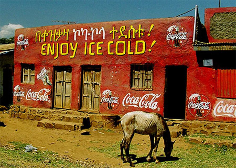 Cheval et Coca Cola