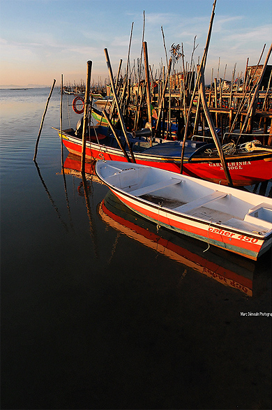 Carrasqueira Carrasqueira