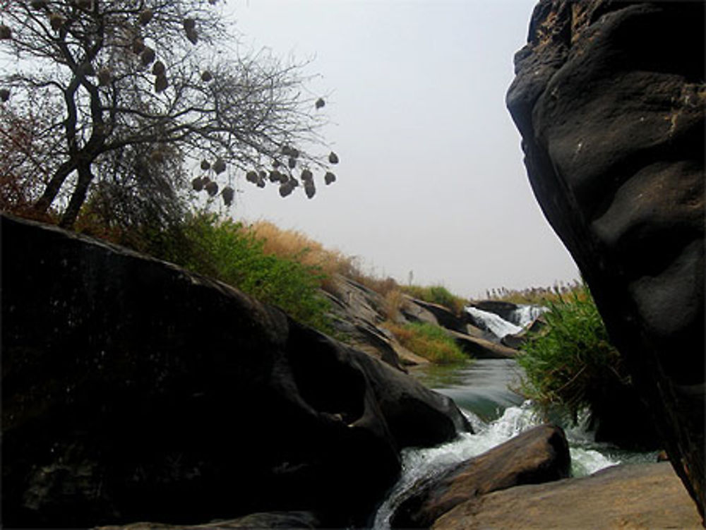 Chutes du Félou 