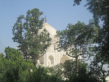 le Taj Mahal entre les arbres