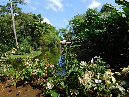 Jardin exotique