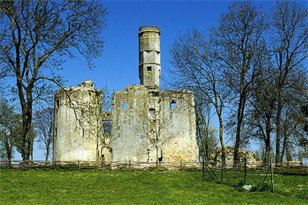 Vestiges du château, Folleville