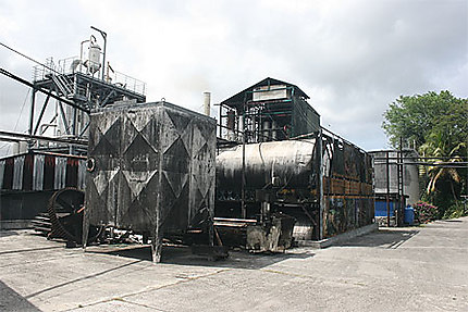 La distillerie Damoiseau