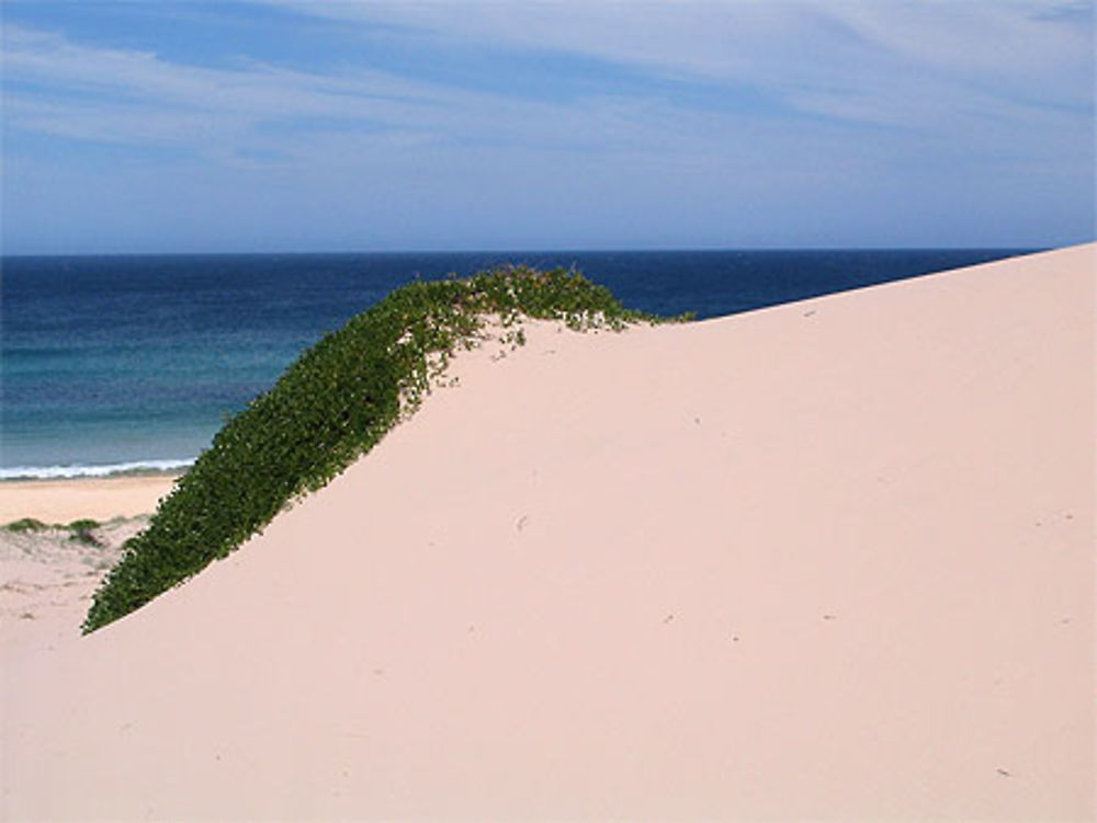 Myall National Park