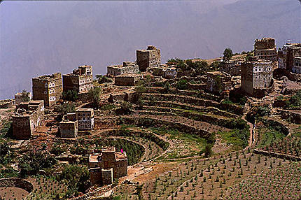 Cultures en terrasse au Yémen