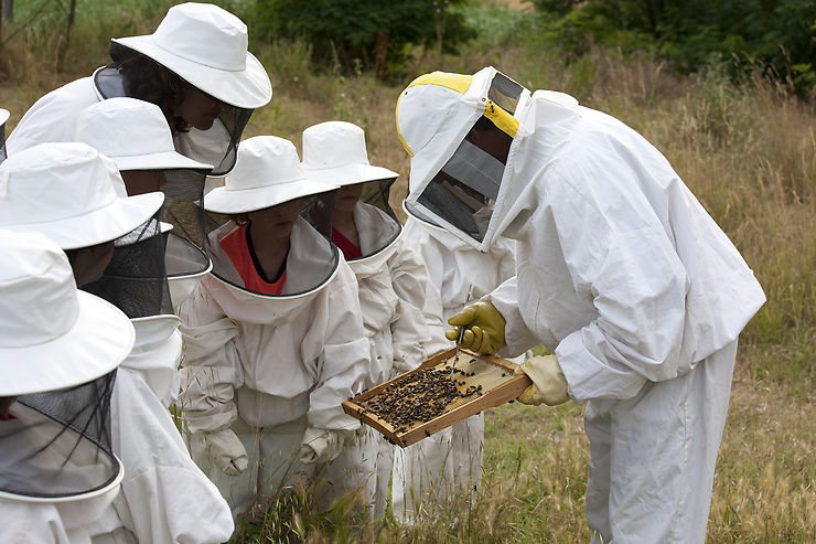 S’initier à l’apiculture à La Vall de Gaià