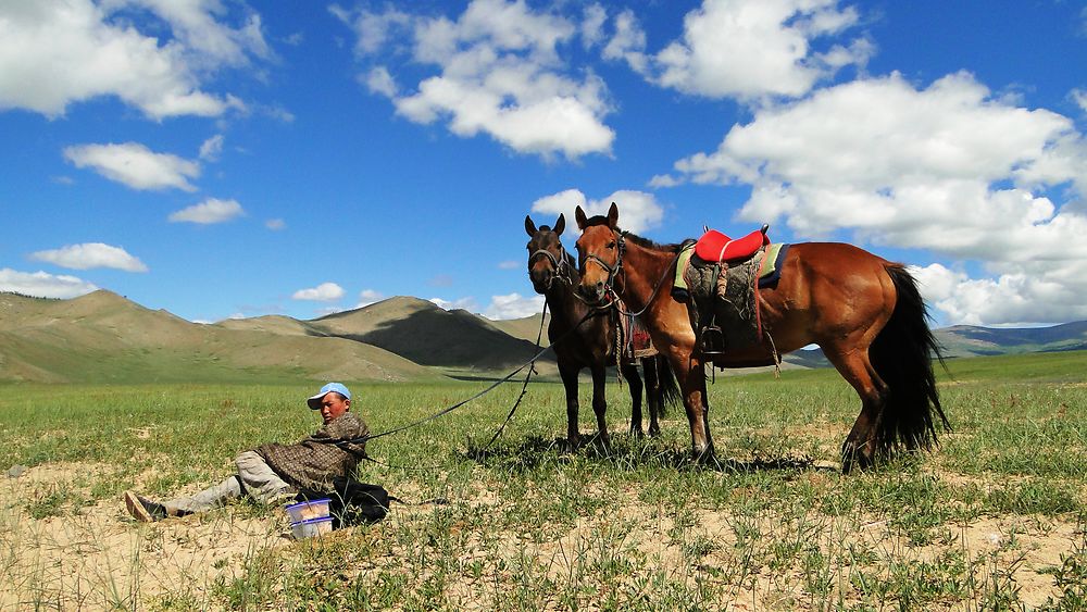 Pause façon mongole