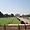 Le beau parc du Taj Mahal