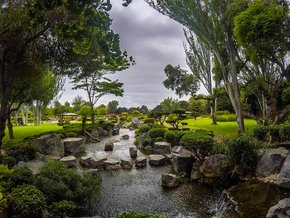 Jardin japonais