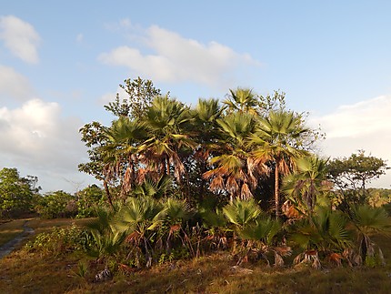 Laguna de Perlas (Pearl Lagoon) 