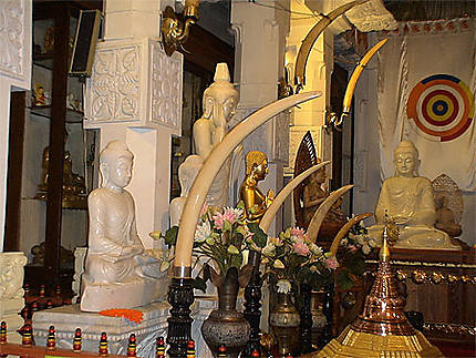 Temple Dalada Maligawa