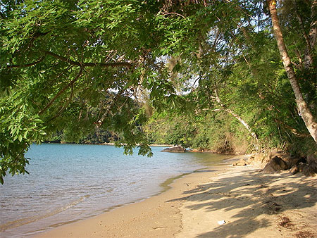 La plage de Praia Preta La plage de Praia Preta
