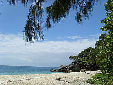 Fitzroy Island