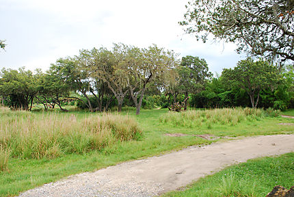 Les routes du Kilimandjaro Safari