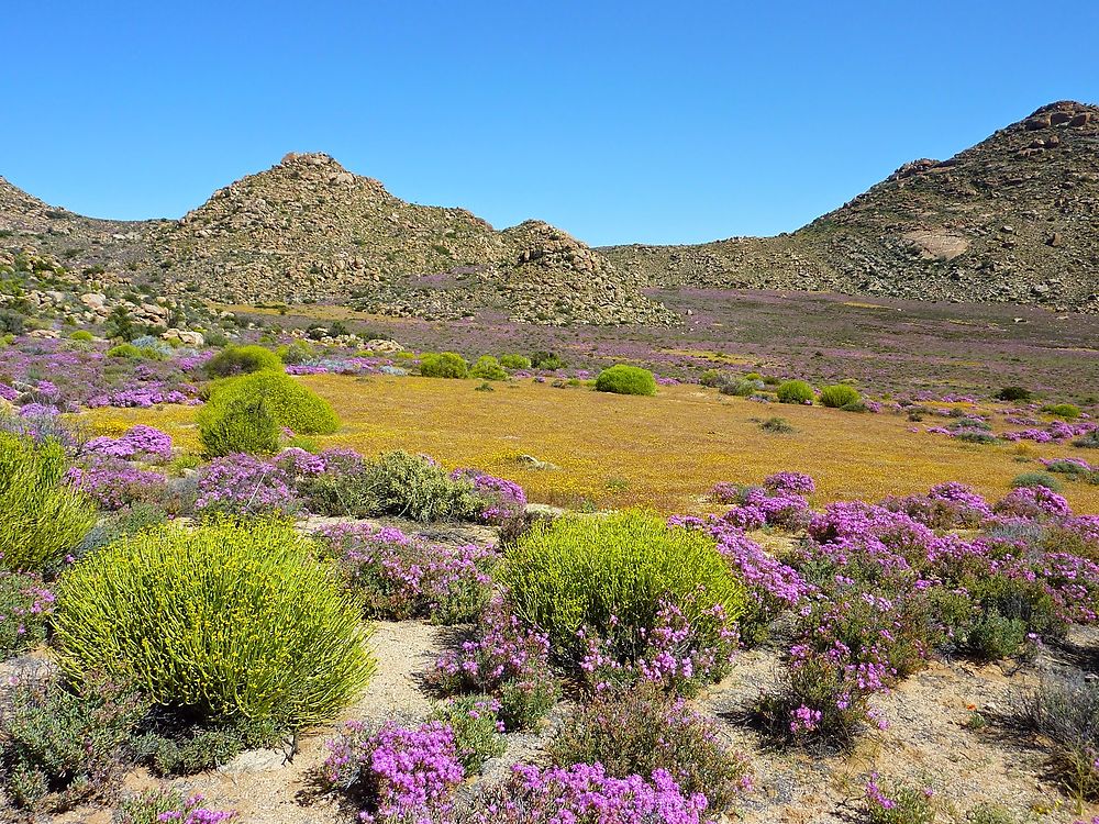 Goegap Nature Reserve