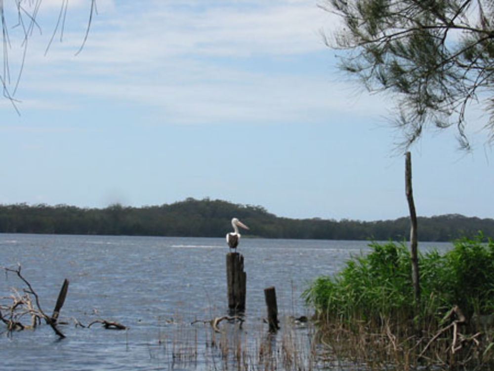 Myall Lakes National Park