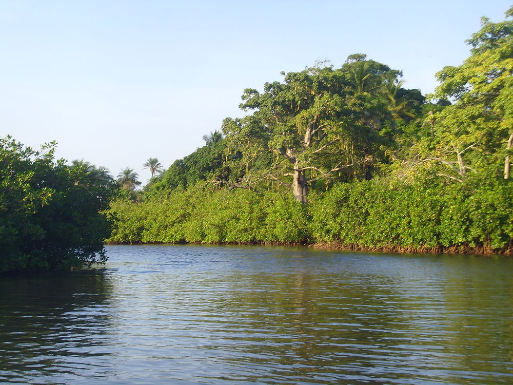 La belle casamance 