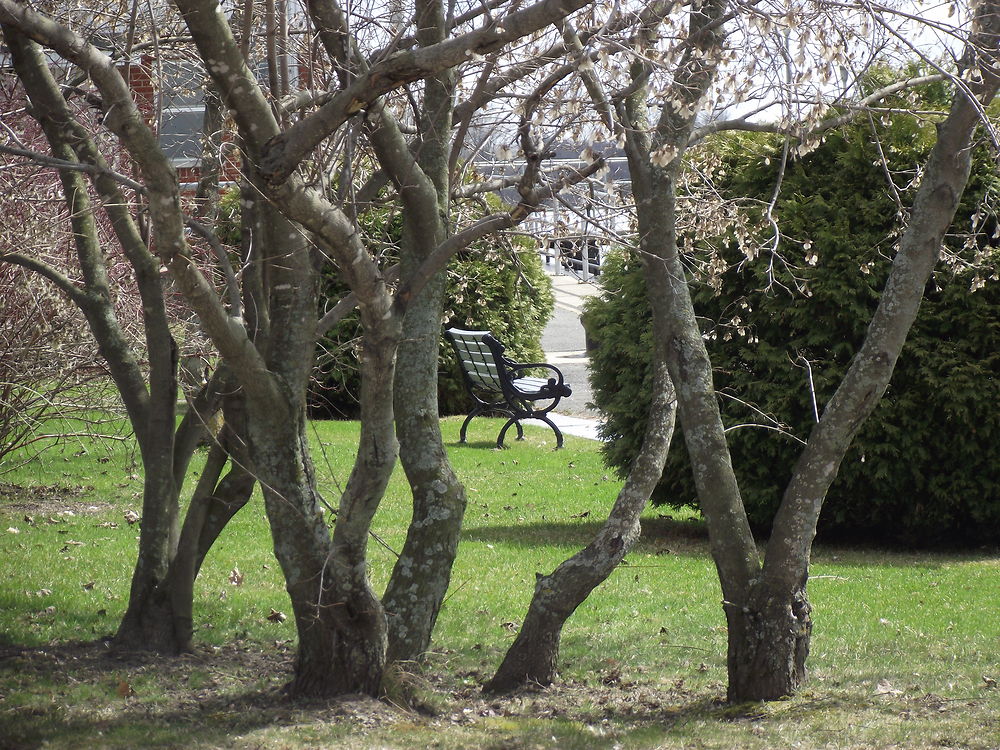 Le Banc à St-Ours-sur-Richelieu