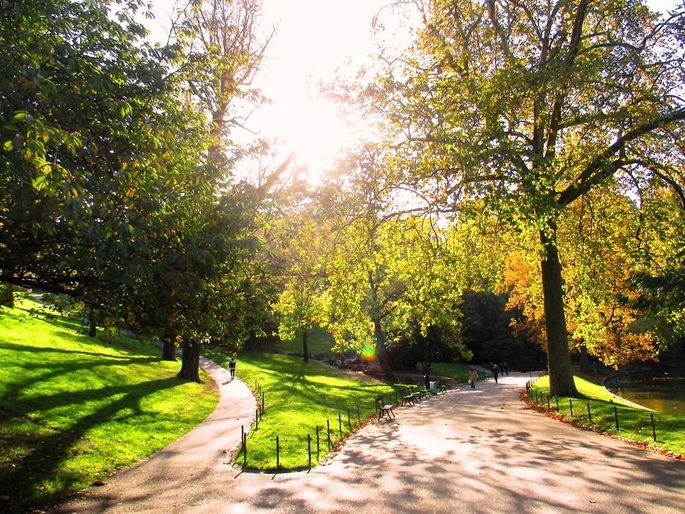 L' automne au Parc des buttes Chaumont