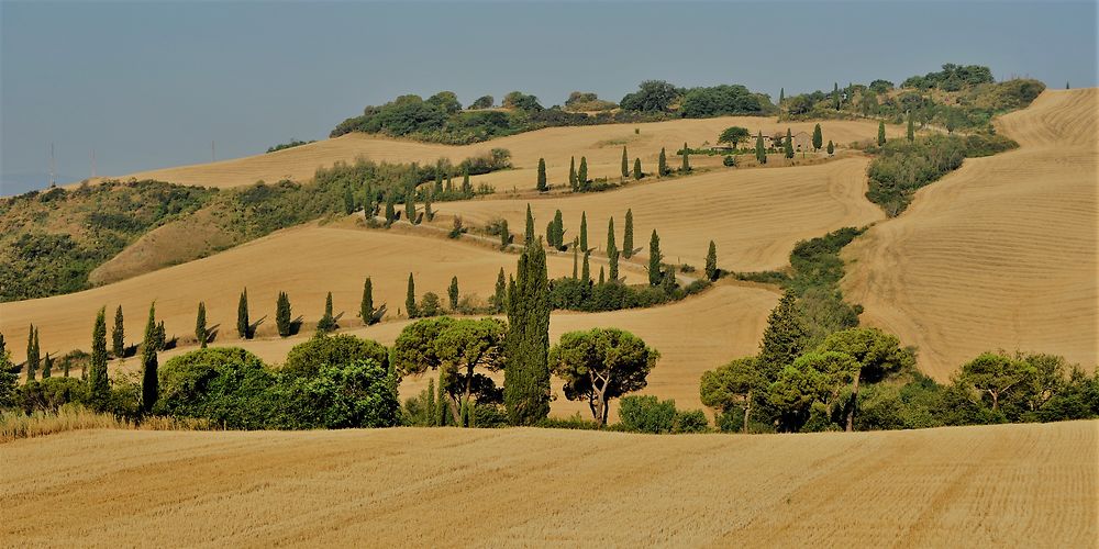 Entre oliviers et cyprès en Toscane