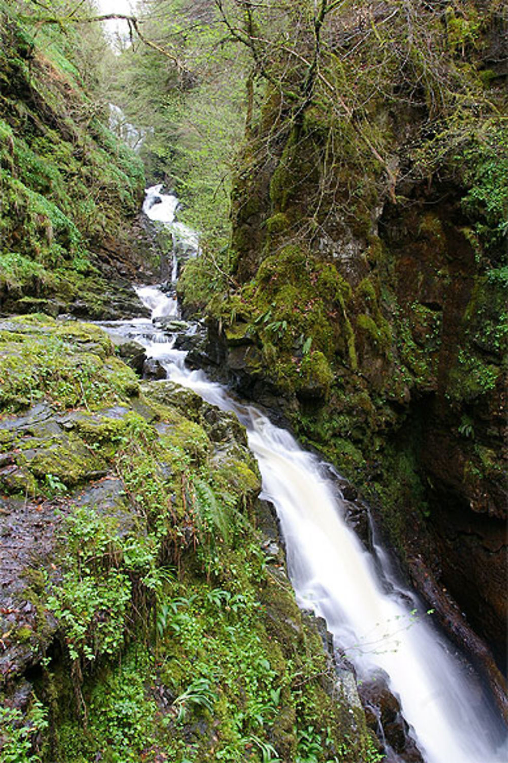 The Birks of Aberfeldy