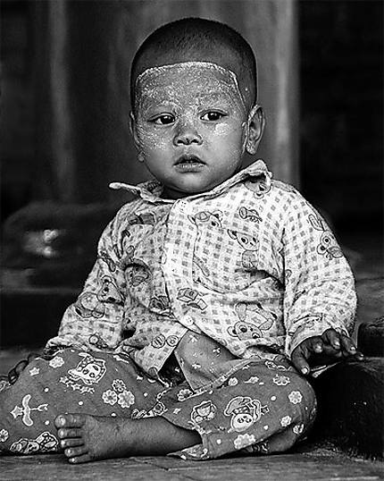 Petit Birman