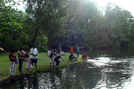 Repos dominical au jardin de Pamplemousses Repos dominical au jardin de Pamplemousses