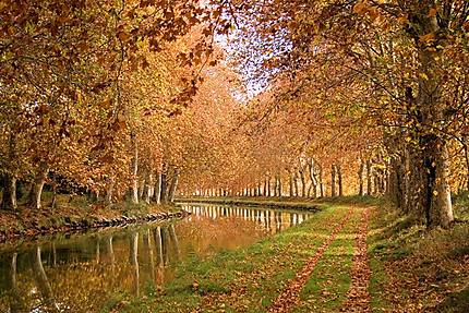Canal du Midi en Automne