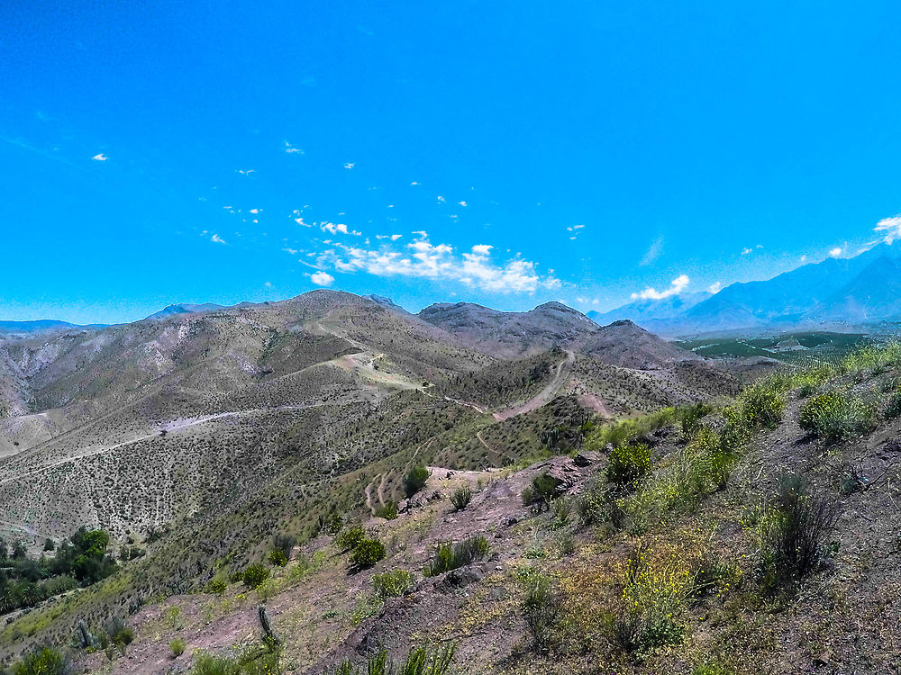 Dans la vallée de l'Elqui