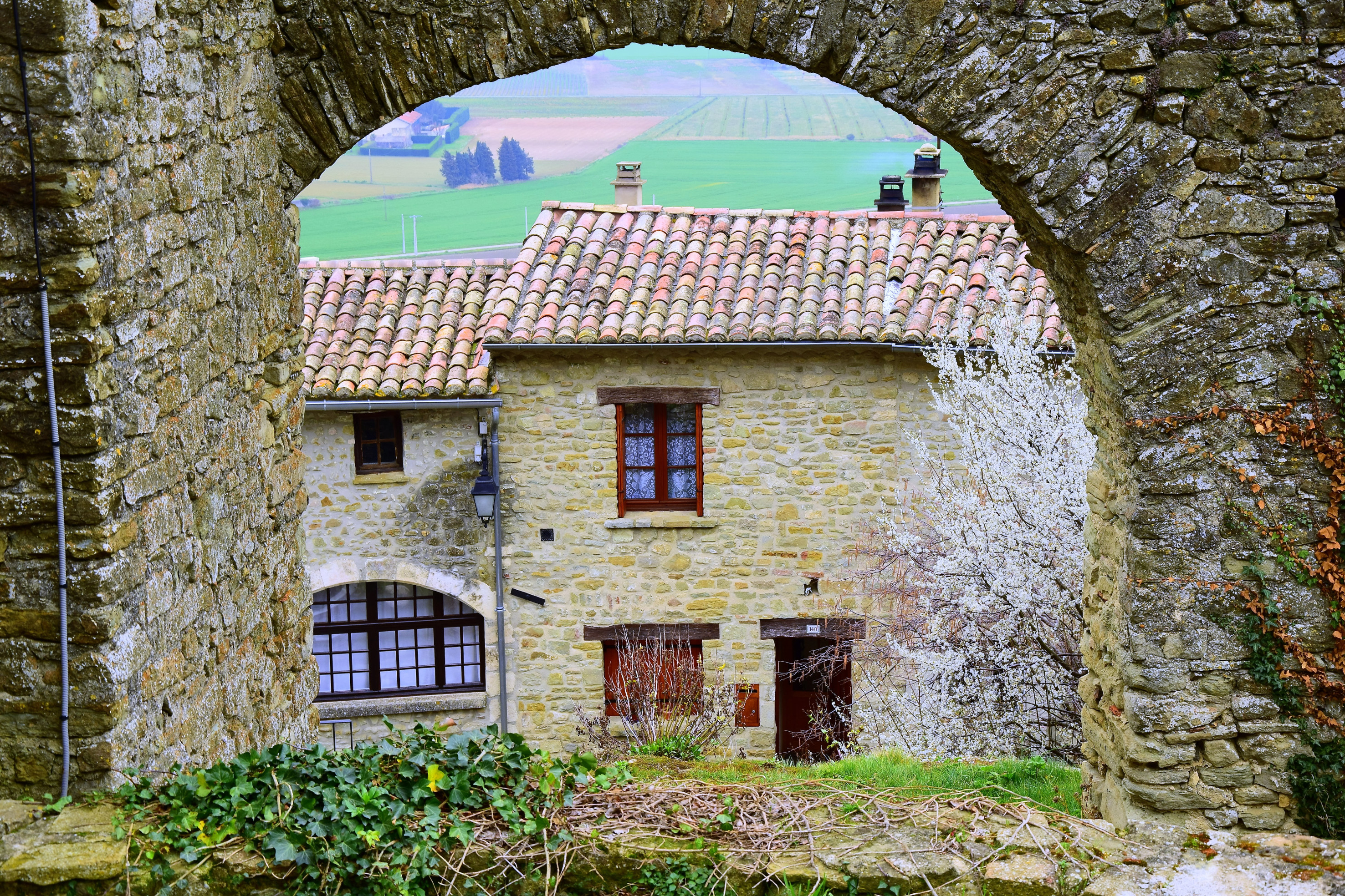 Le printemps arrive ! Le printemps arrive !