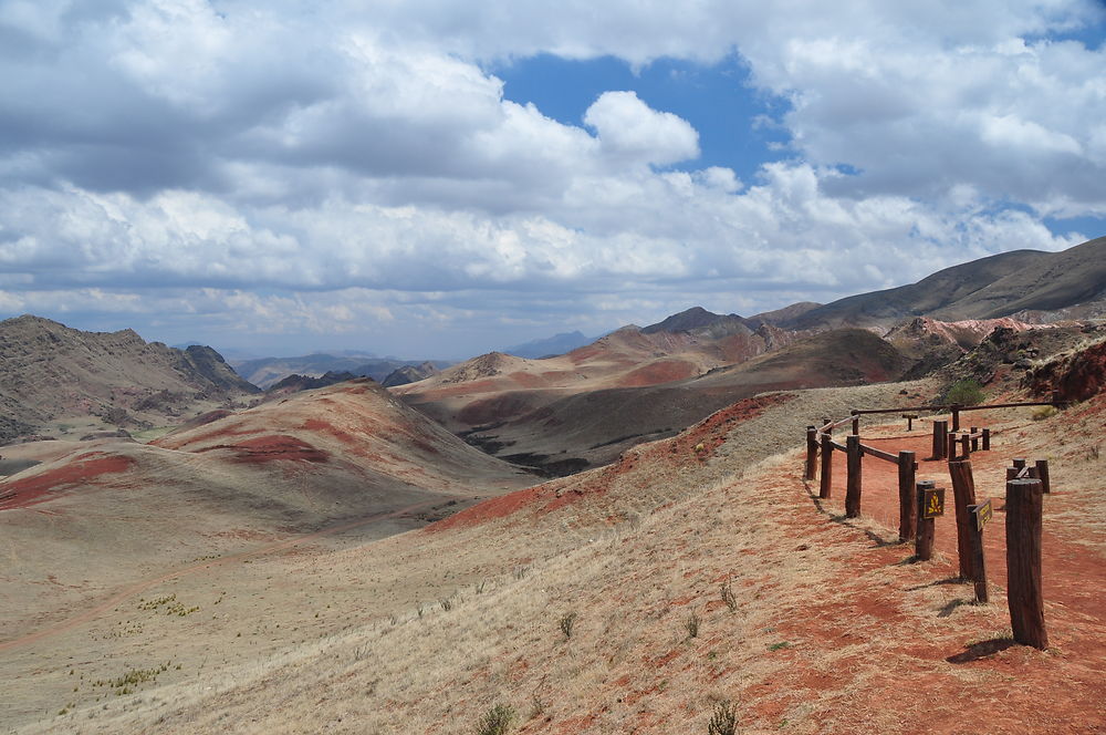 Parc national Los Cardones