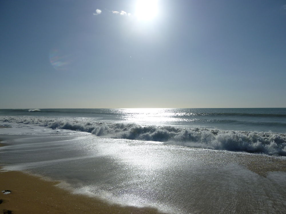 Plage de la Terrière