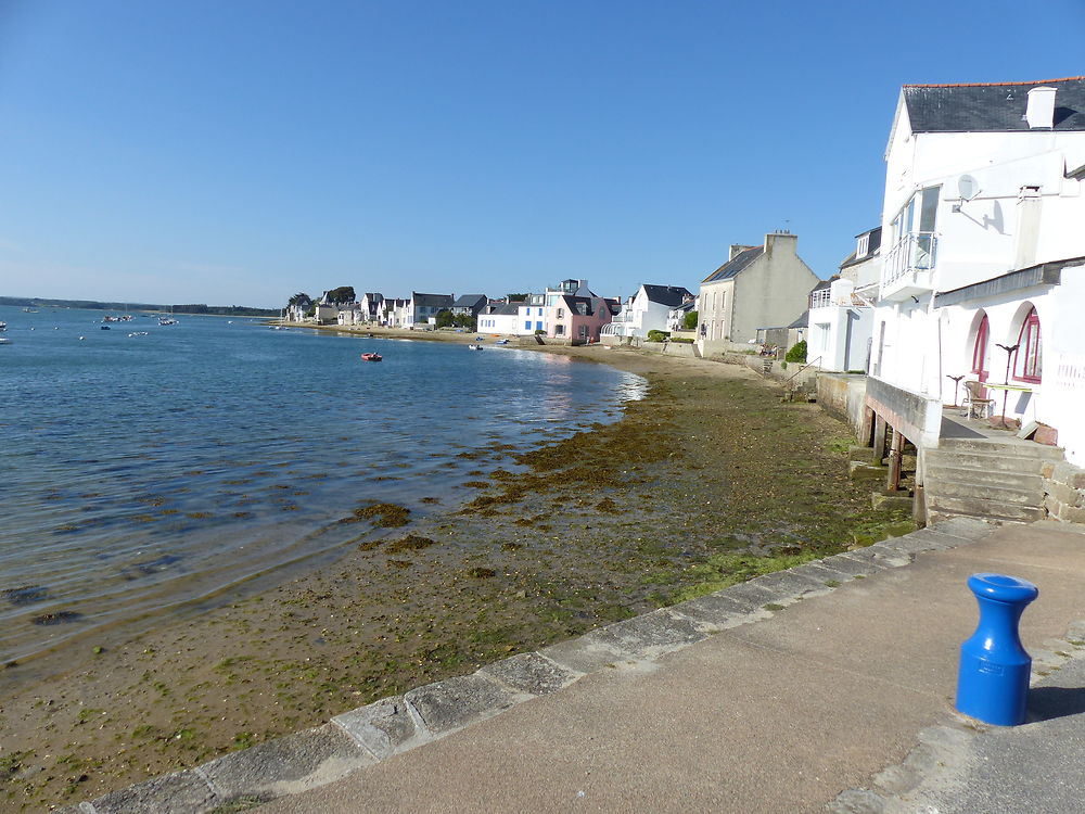 Île Tudy sous un soleil de juin