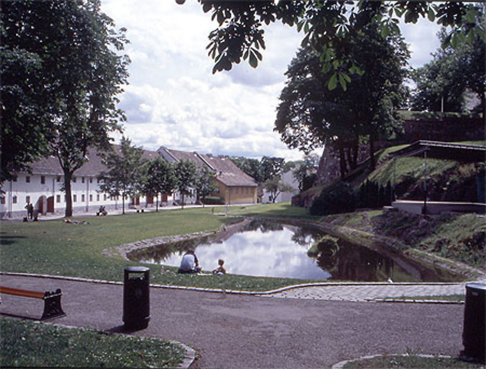 La cour du parc 