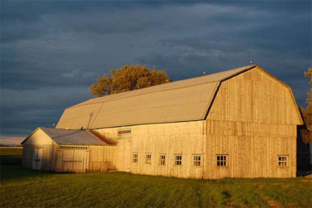 Ferme à Saint Isidore