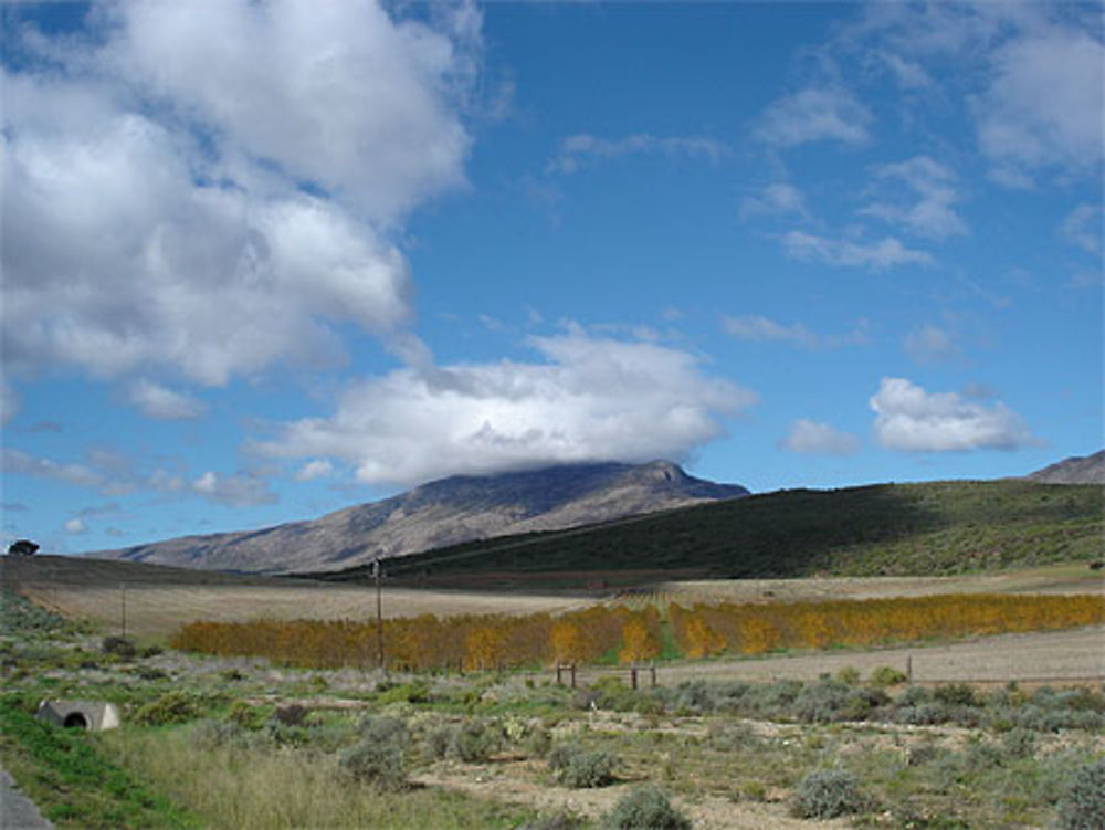 Paysage africain du sud