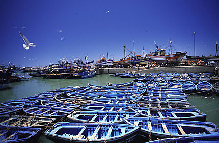 Essaouira Blues