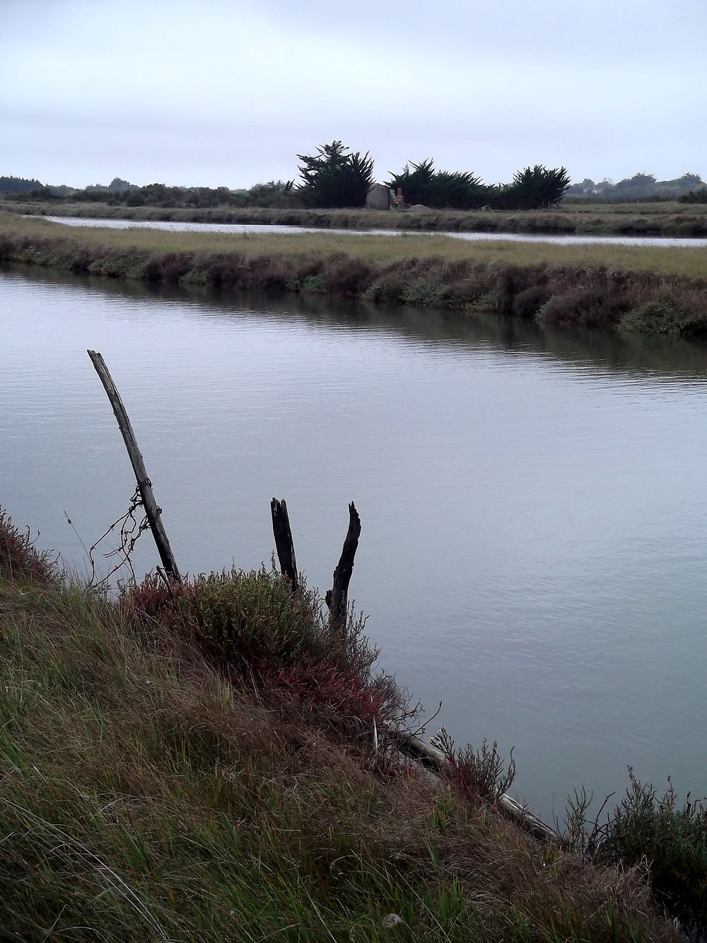 Marais de l'Ile-d'Olonne