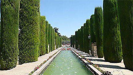 Jardin de l'Alcazar à Cordoue...