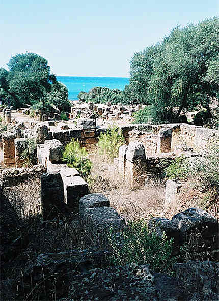 Ruines romaines de Tipaza