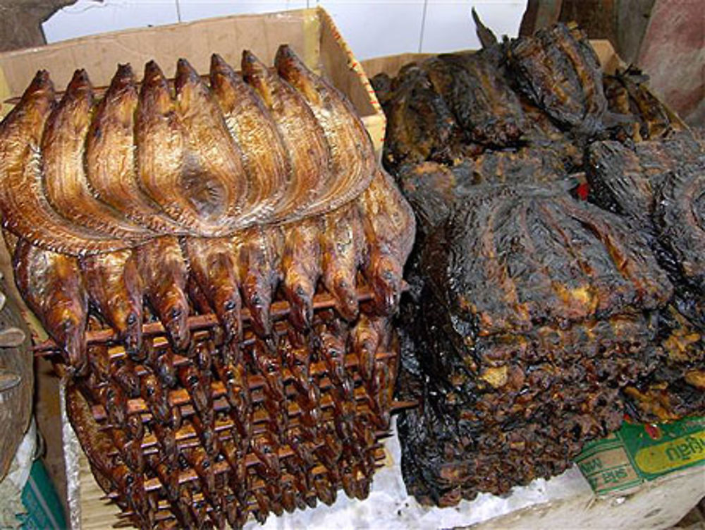 Poisson séché au marché de Battambang