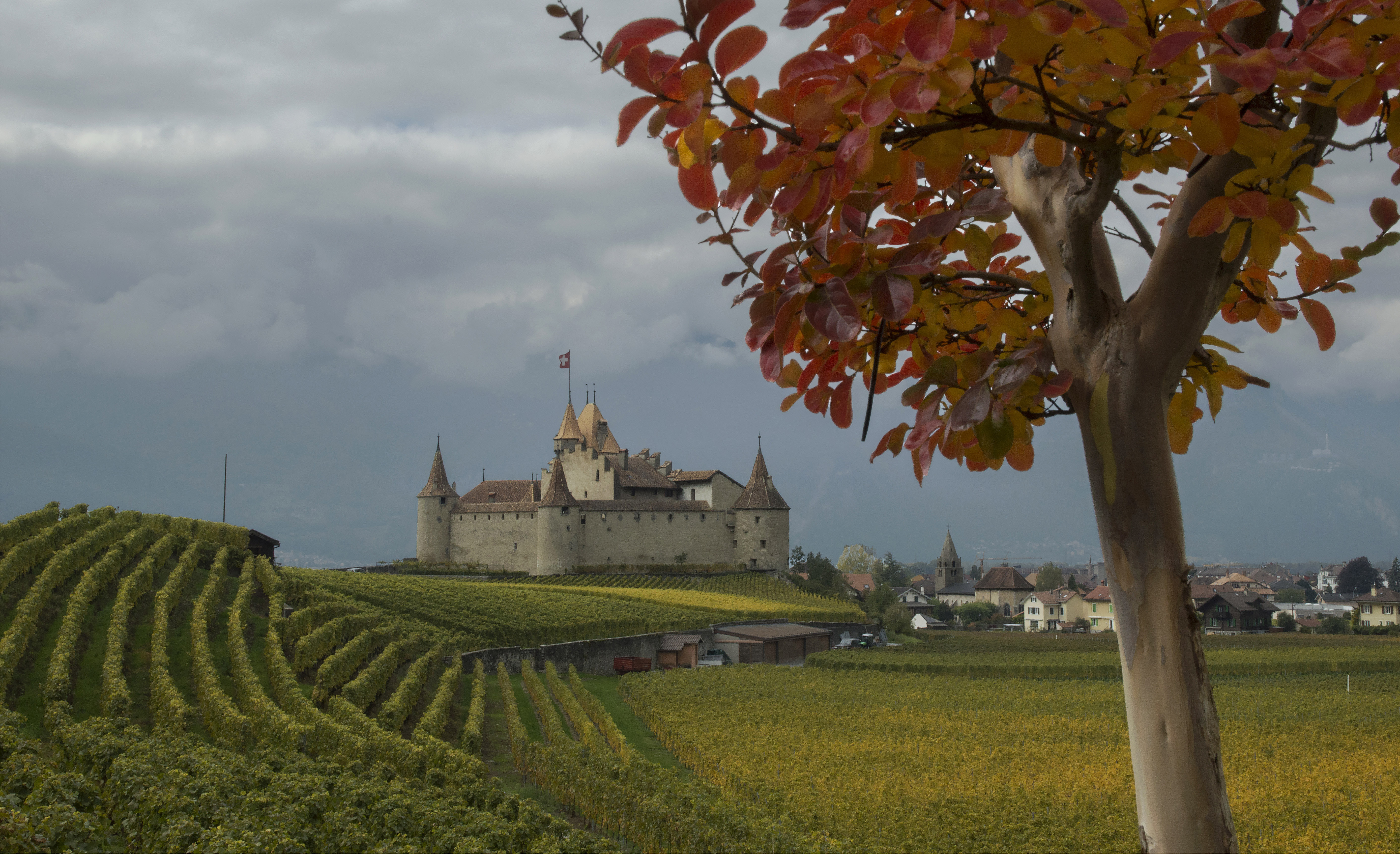 Château de Aigle Château de Aigle