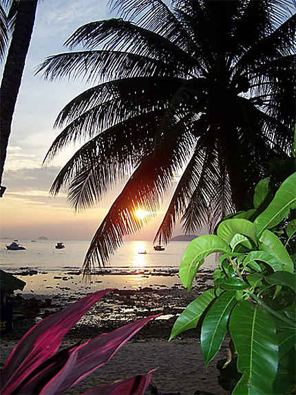 Salang beach sur l'île de Tioman
