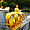 Crown in Stockholm