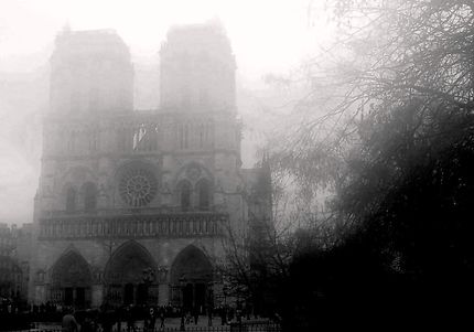 Notre-Dame de Paris sous la brume 