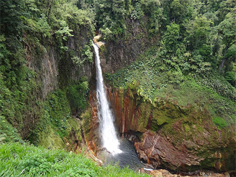 Catarata del Toro