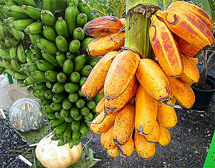 Régime de banane et fei à Papeete