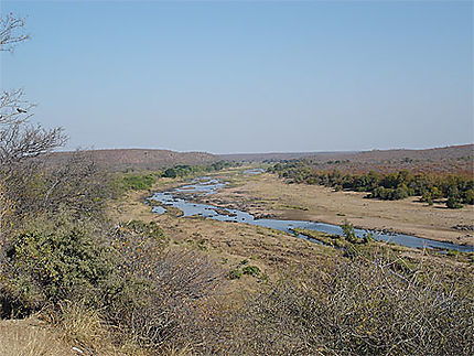 Paysage du Kruger