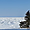 Paysage hivernal à Métis-sur-Mer