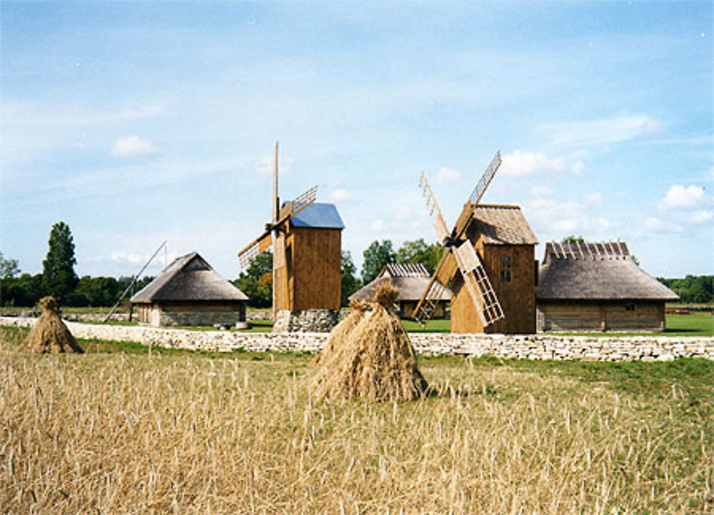 Moulins dans les champs